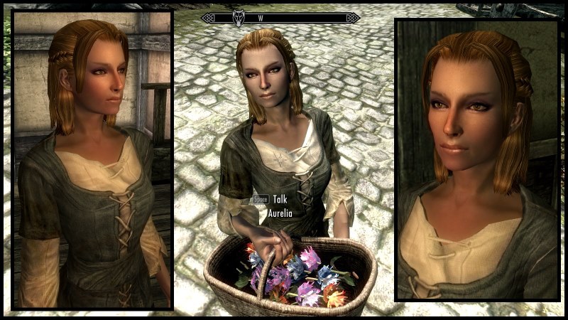 Animated Prostitution Mod Skyrim Free Download Portable